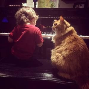 Meet your Posher, Max